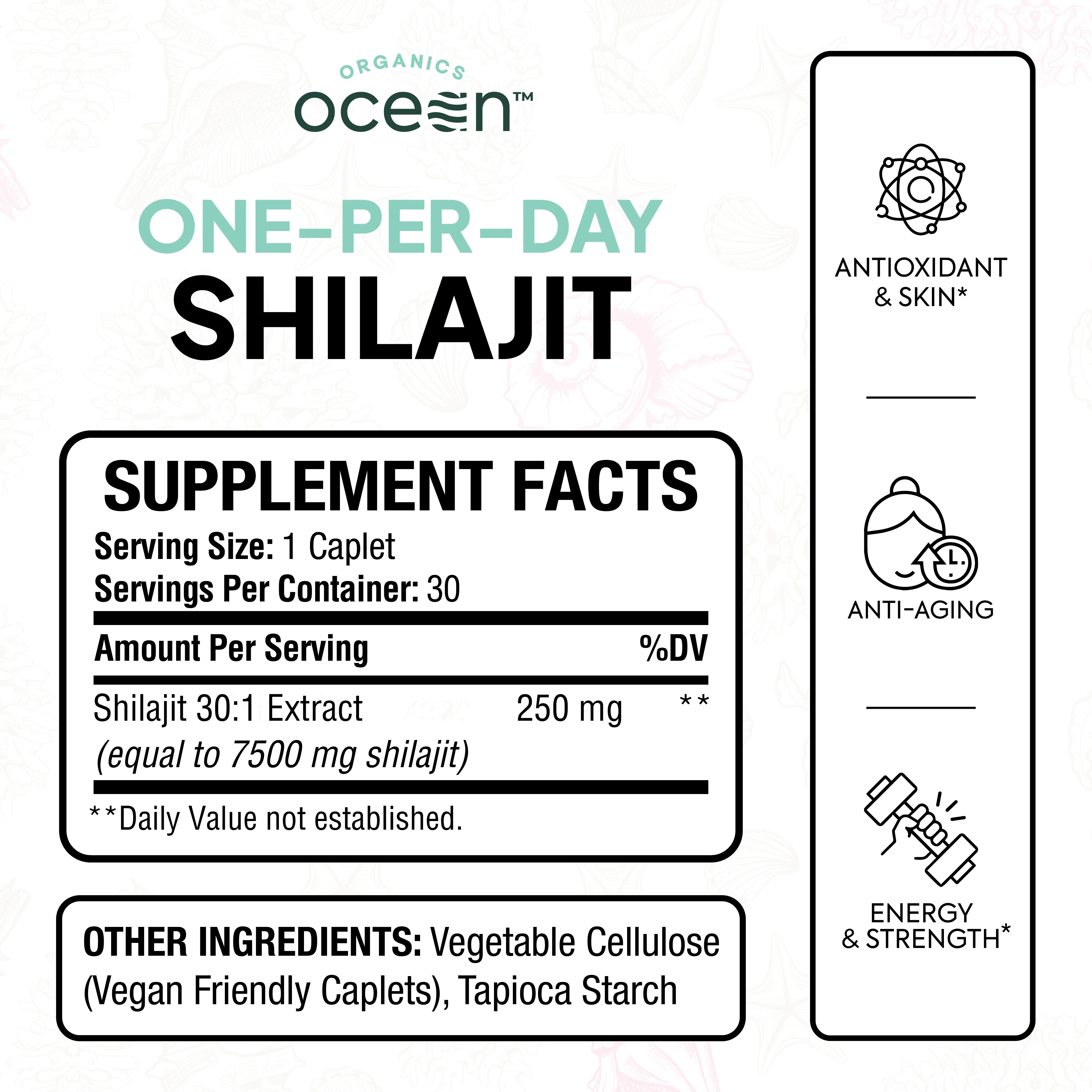 One-Per-Day Shilajit Capsules - Image 3