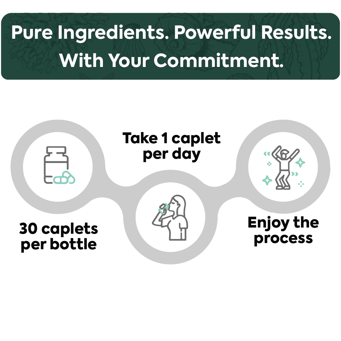 One-Per-Day Shilajit Capsules - Image 5
