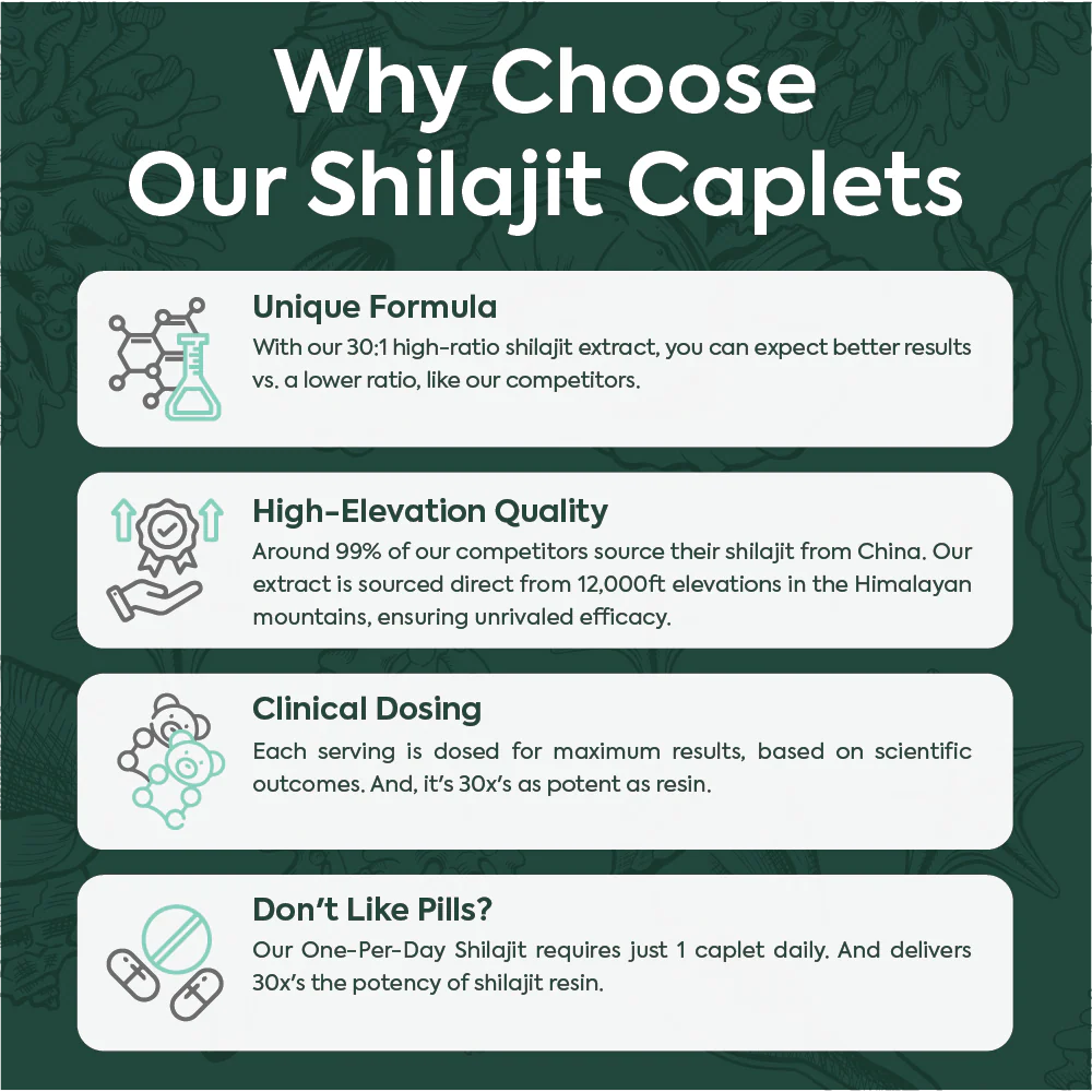One-Per-Day Shilajit Capsules - Image 6