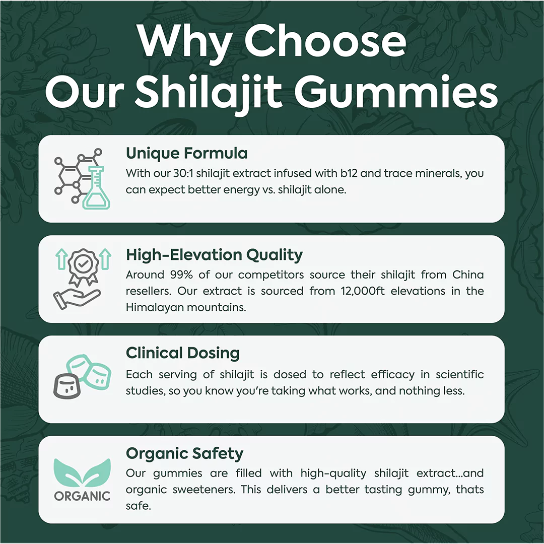 Purified Shilajit Gummies - Limited Time Promo - Image 5